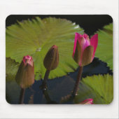 Muismat roze Lotus Waterlilies (Voorkant)