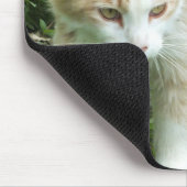 Muismat Sahara Oerwoud Cat (Hoek)