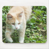 Muismat Sahara Oerwoud Cat (Voorkant)