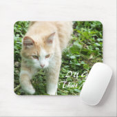 Muismat Sahara Oerwoud Cat (Met muis)