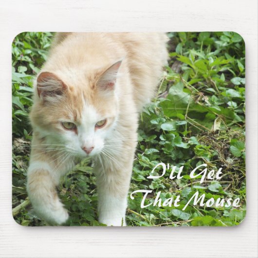 Muismat Sahara Oerwoud Cat (Voorkant)