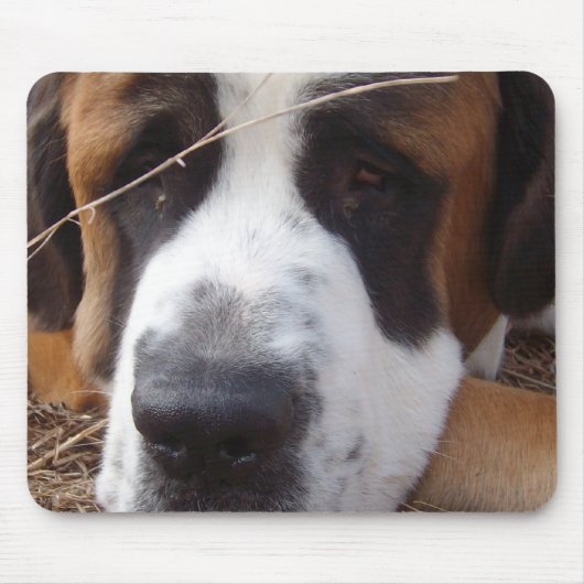 Muismat Saint Bernard Dog (Voorkant)