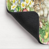 Muismat Schattigee Kittens (Hoek)