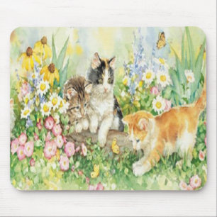 Muismat Schattigee Kittens