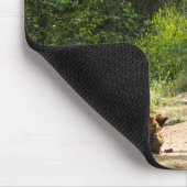 Muismat schijfgolf (Hoek)