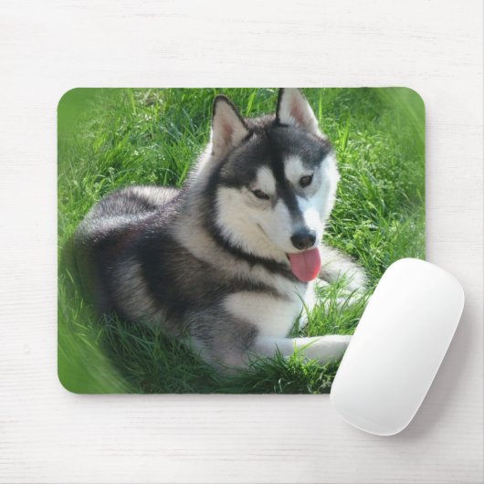 Muismat Siberian Husky Dog (Met muis)