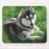 Muismat Siberian Husky Dog (Voorkant)