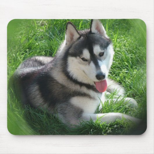 Muismat Siberian Husky Dog (Voorkant)
