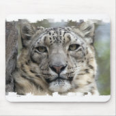 Muismat Snow Leopard (Voorkant)