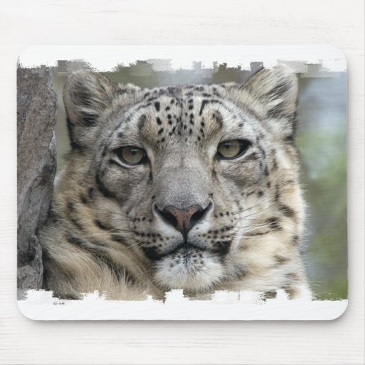 Muismat Snow Leopard (Voorkant)