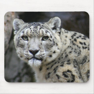 Muismat Snow Leopard