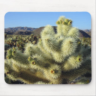 Muismat Southwest Desert Cactus