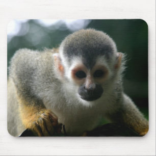 Muismat Spider Monkey