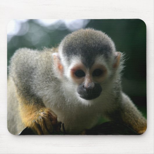 Muismat Spider Monkey (Voorkant)