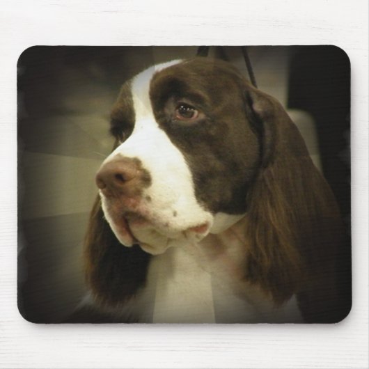 Muismat Springer Spaniel (Voorkant)