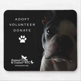 Muismat "stilletjes kijken"