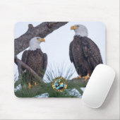 MUISMAT SWFL Eagle Cam (Met muis)