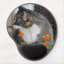 Muismat Tabby cat