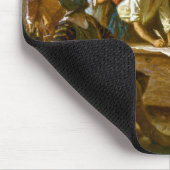 Muismat The Mayflower Compact 1620 Jean Ferris (Hoek)