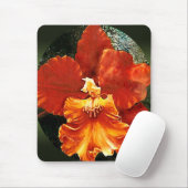 Muismat tijger-orchidee (Met muis)