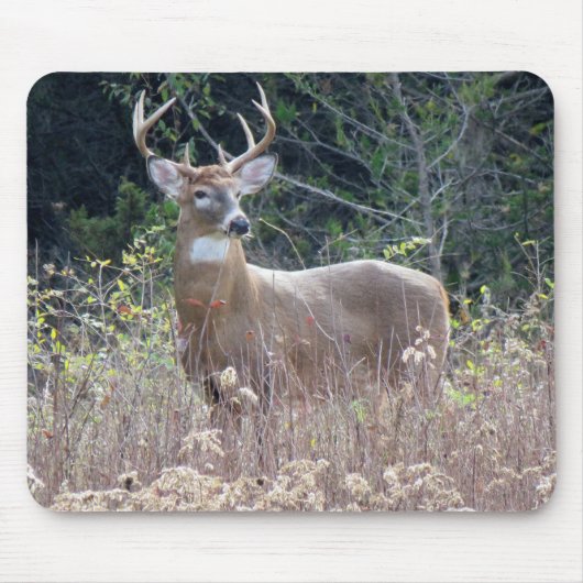 Muismat van 9 x 8 inch (Voorkant)