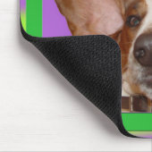 Muismat van activa (Hoek)