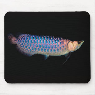 Muismat van Aziatische arowana "Blue Type"