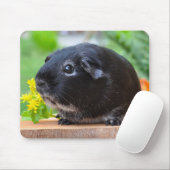 Muismat van Black Guinee Pig (Met muis)