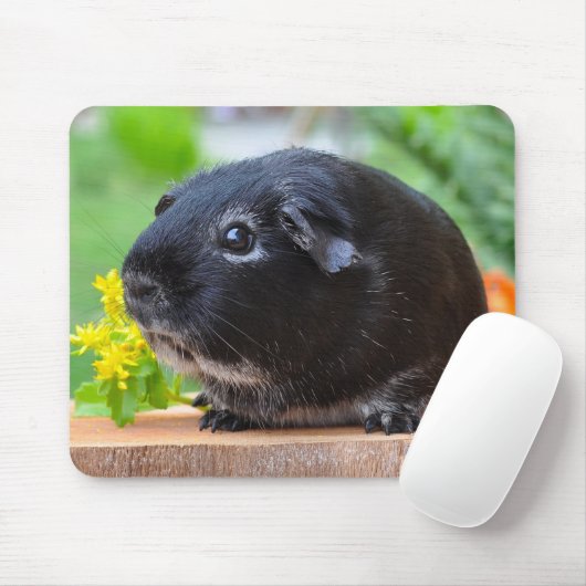 Muismat van Black Guinee Pig (Met muis)