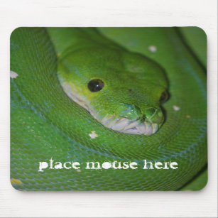 Muismat van coiled exotische groene slang
