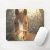  Muismat van de Arabische kastanjepaarden (Met muis)
