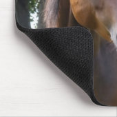 Muismat van de Bay Thoroughbred Horse (Hoek)