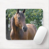 Muismat van de Bay Thoroughbred Horse (Met muis)