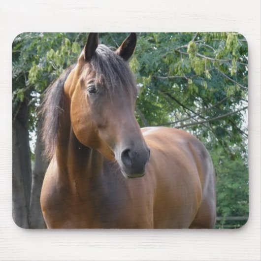Muismat van de Bay Thoroughbred Horse (Voorkant)