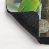 Muismat van de Indische Ringnek en boedgie (Hoek)