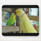 Muismat van de Indische Ringnek en boedgie (Voorkant)