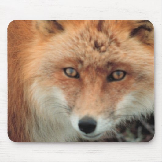 Muismat van de soort "Fox Species" (Voorkant)