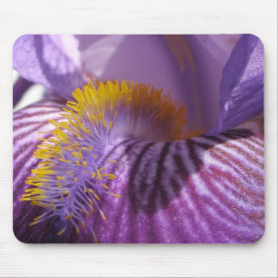 Muismat van de tong van Iris