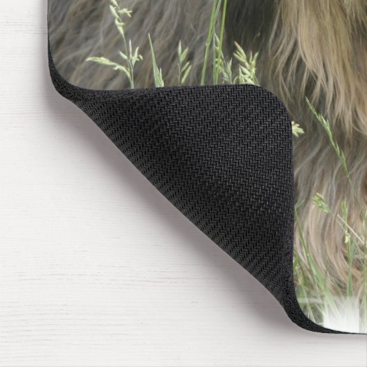 Muismat van gedekte collie (Hoek)