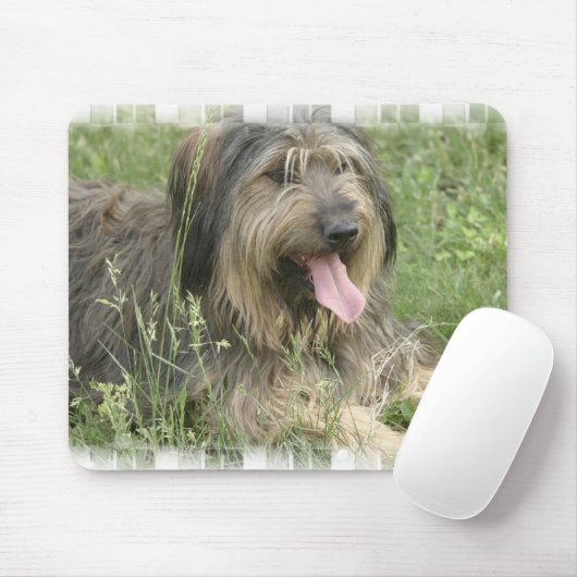 Muismat van gedekte collie (Met muis)