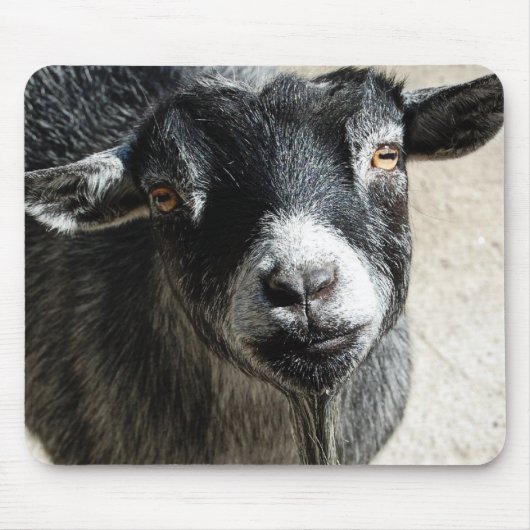 Muismat van geiten (Voorkant)