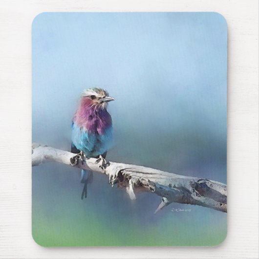 Muismat van geverfde vogels (Voorkant)