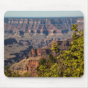 Muismat van het North Rim Grand Canyon National Pa