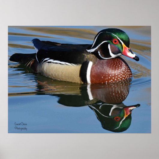 Muismat van het Sierkussen van de Bezinning van he Poster (Voorkant)