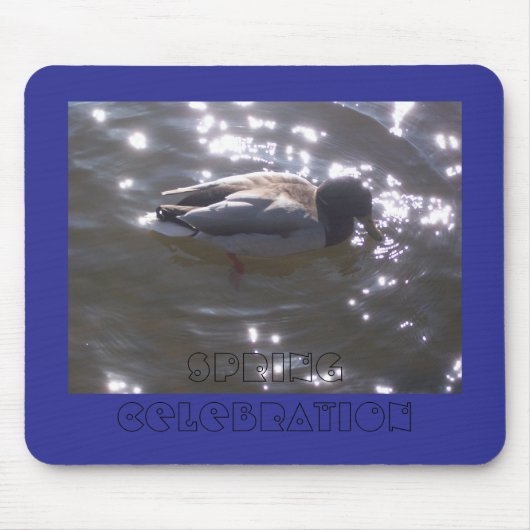 Muismat van het voorjaarsfeest (Voorkant)