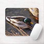 Muismat van hout Duck (Met muis)