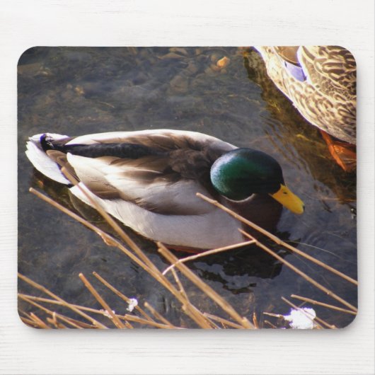 Muismat van hout Duck (Voorkant)