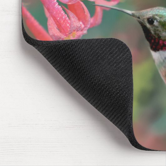 Muismat van kalkoenen (Hoek)