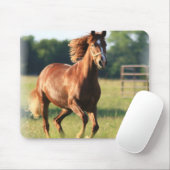 Muismat van kastanjegaloping (Met muis)