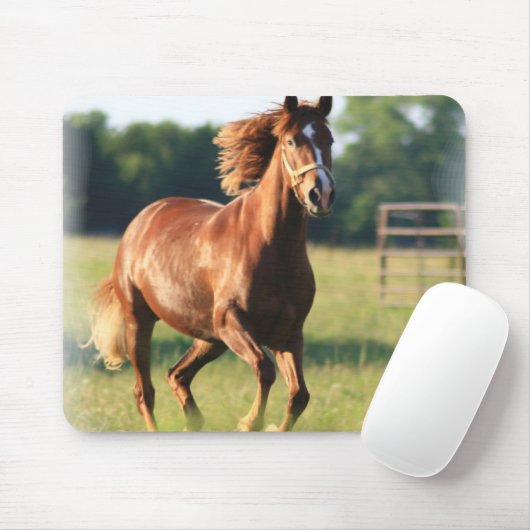 Muismat van kastanjegaloping (Met muis)